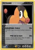 PETRAMIE