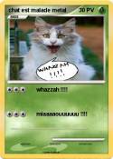 chat est malade