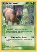 Truffe de cheval Truffe de