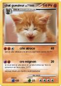 chat gueuleur