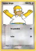homer dingo