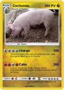 Cochonou
