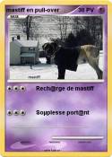 mastiff en pull-over mastiff en