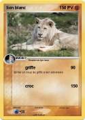 lion blanc
