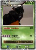chat chat