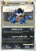 shadow bowser
