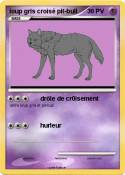 loup gris