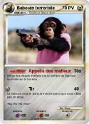 Babouin