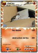chat feu