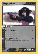 Singe policier Singe policier