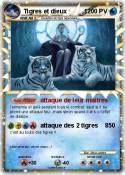 Tigres et dieux
