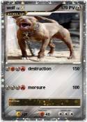 wolf