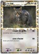le chat