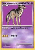 loup gris croisé greyhound loup gris