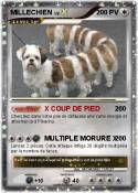 MILLECHIEN