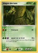 dragon des bois