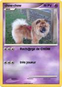 chow-chow