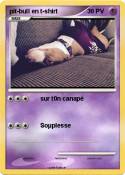 pit-bull en