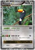 M.toucan M.toucan