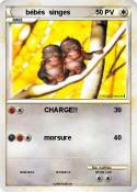 bébés singes