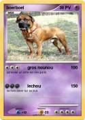 boerboel