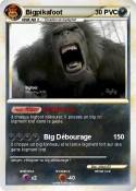 Bigpikafoot C