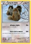 gang de chats