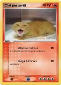 Chat pas gentil