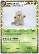 boule de poil
