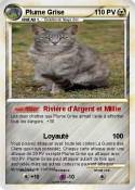 Plume Grise