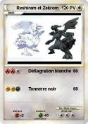 Reshiram et
