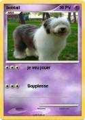 bobtail