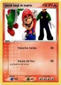 yoshi luigi et