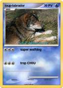 loup-labrador loup-labrador