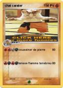 chat carater