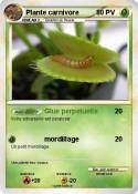 Plante