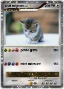 chat mignon
