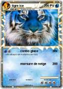 tigre ice