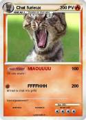 Chat furieux