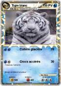 Tigre blanc