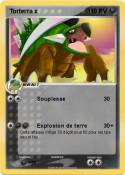 Torterra x