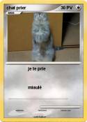 chat prier