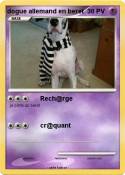 dogue allemand