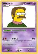 NED NED