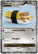 Sushi cat
