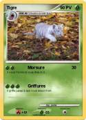 Tigre