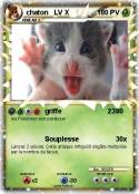 chaton LV X chaton LV X