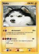 Husky