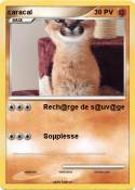 caracal