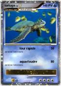 tortuga